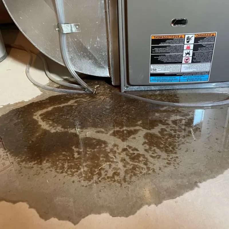 Pipe Burst and Leak Restoration in Edgewood, PA
